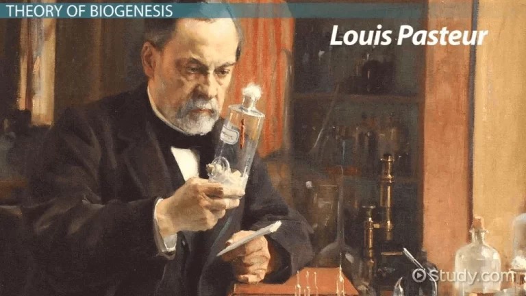 Theory-of-biogenesis1-1-768x432.jpg