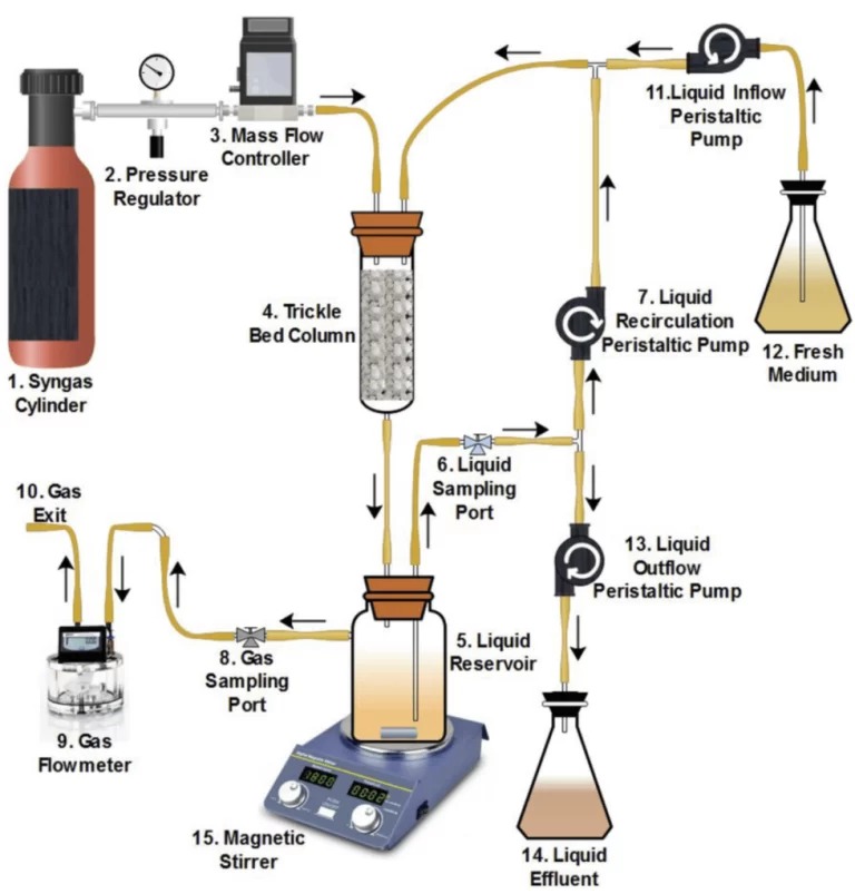 Product-Formation-Harvesting-768x803.jpg