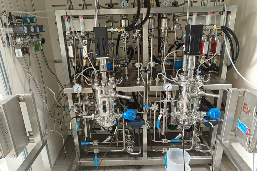(2)5L-stainless-steel-bioreactor