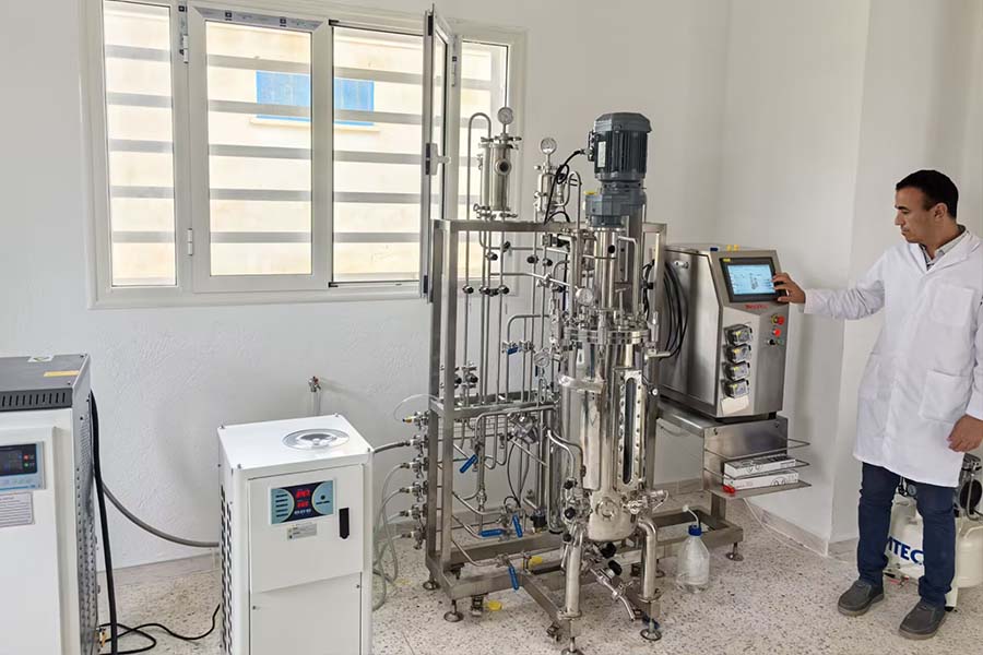 Tunisia 50L laboratory scale stainless steel bioreactor