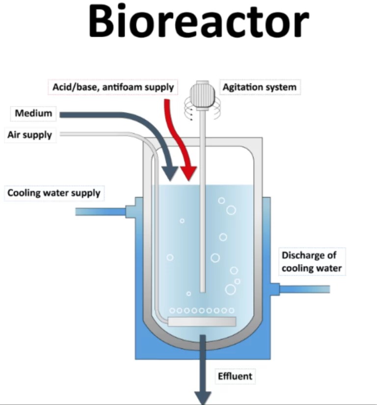 Bioreactor-operation-768x825.jpg