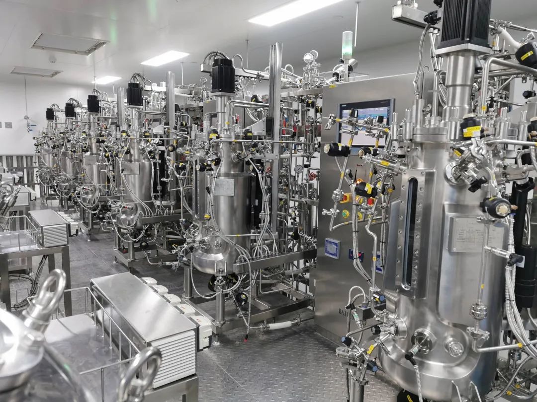 Biosynthesis-in-Pharmaceuticals.jpg