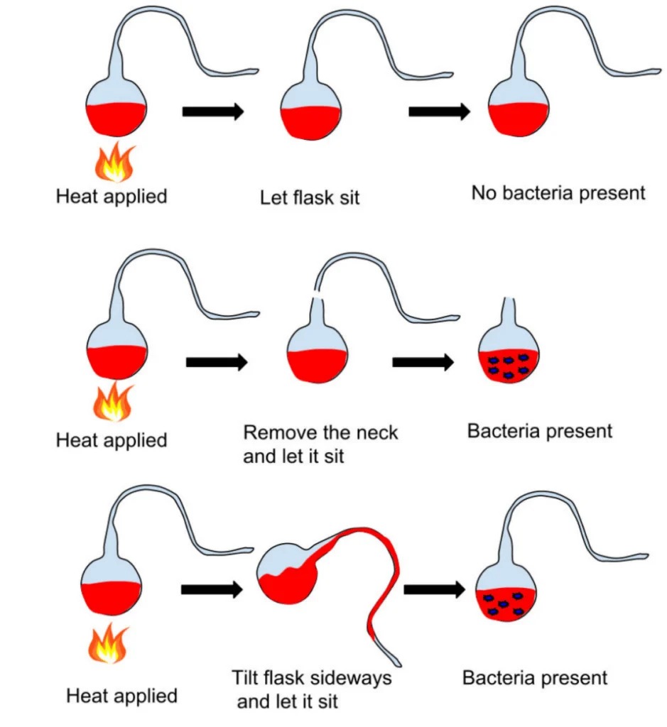 Definition-of-biogenesis-1.jpg
