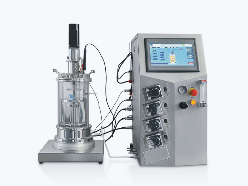 Lab-Bioreactor-(1L–20L)