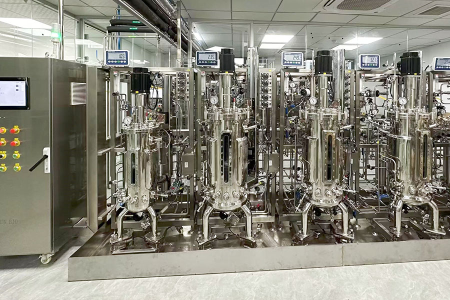 50L-5 Parallel stainless steel bioreactor