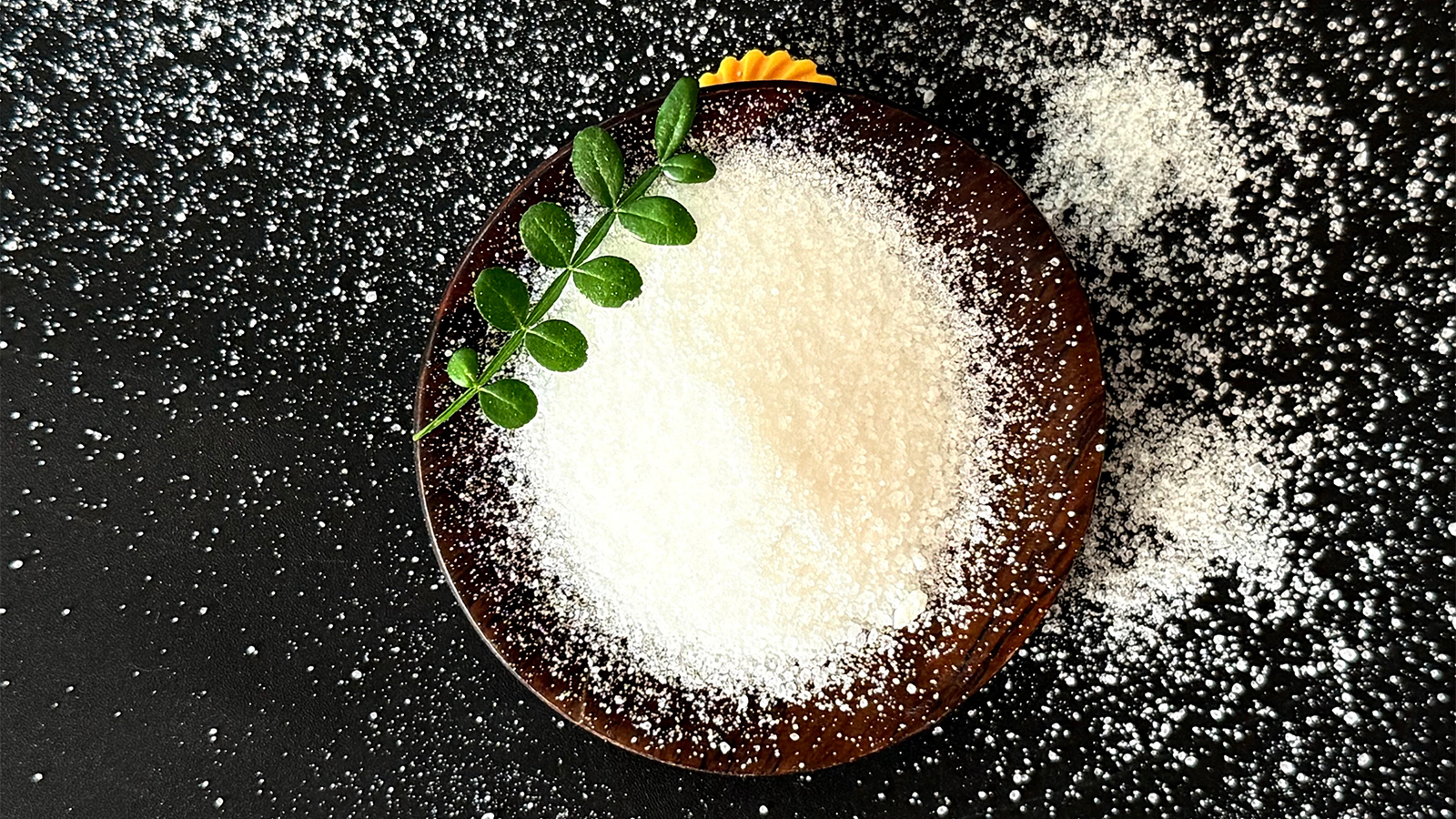Produtos de fermenta&ccedil;&atilde;o bacteriana-1.jpg