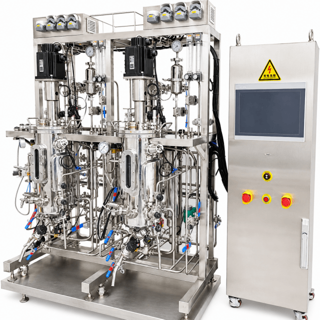 10L 2 Vessels Parallel Bioreactor