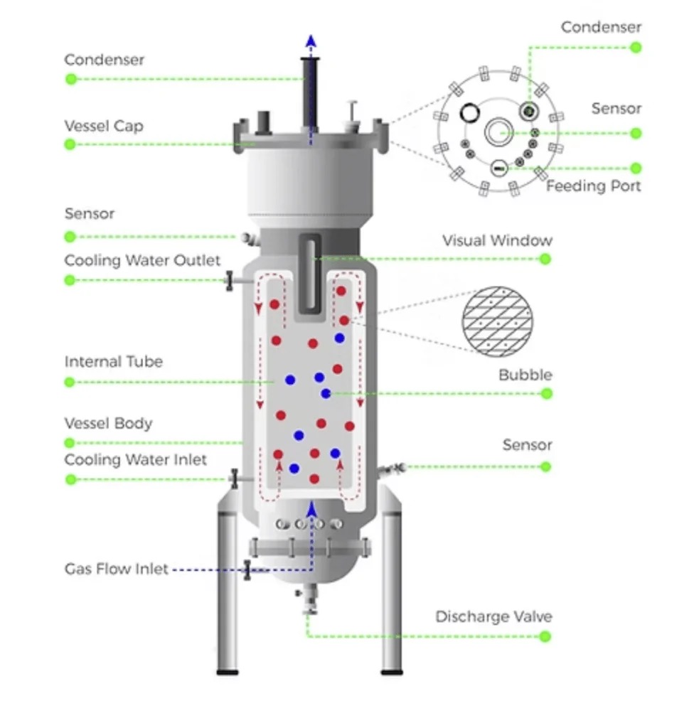 airlift-fermentor-bioreactor-1.jpg