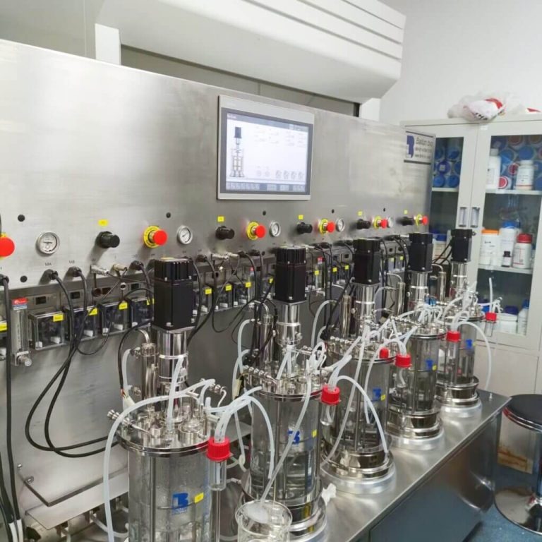 Five-stage-5L-GJ-glass-bioreactor2-1-768x768.jpg