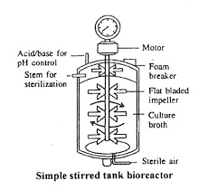 What-Is-a-Stirred-Tank-Bioreactor.jpg