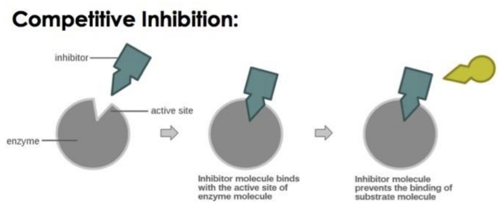 Enzyme-Inhibition-Mechanisms-1.jpg