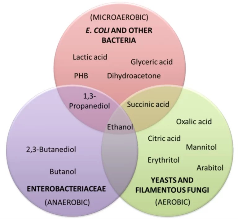 fermentation-microorganisms-1-768x707.jpg