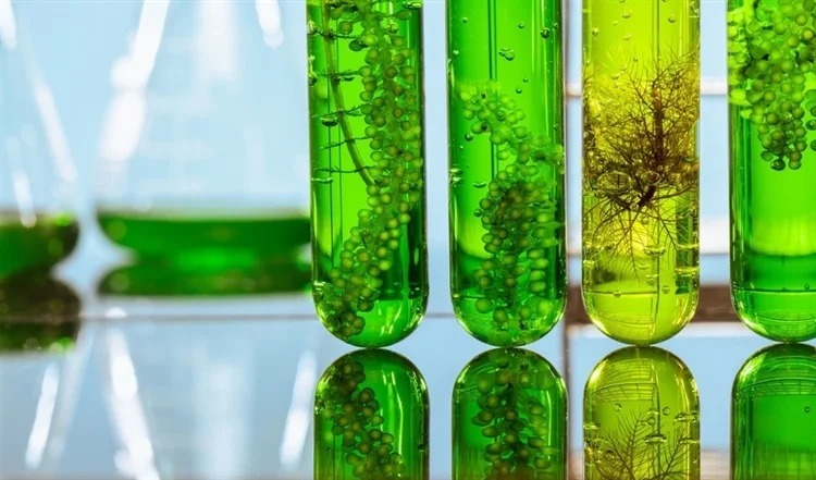 Послепродажное обслуживание