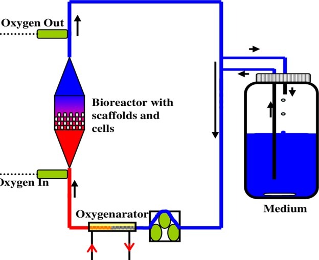 application-in-Perfusion-Bioreactor.jpg