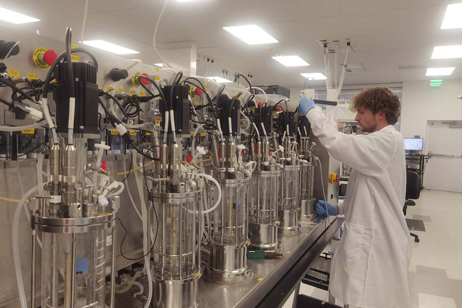 1L-6 glass bioreactor