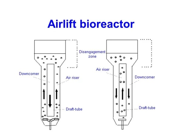 airlift-bioreactor-600x450.jpg