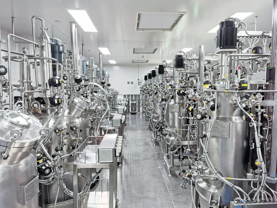 Bailun fermenter bioreactor tetanus cultivation system.jpg