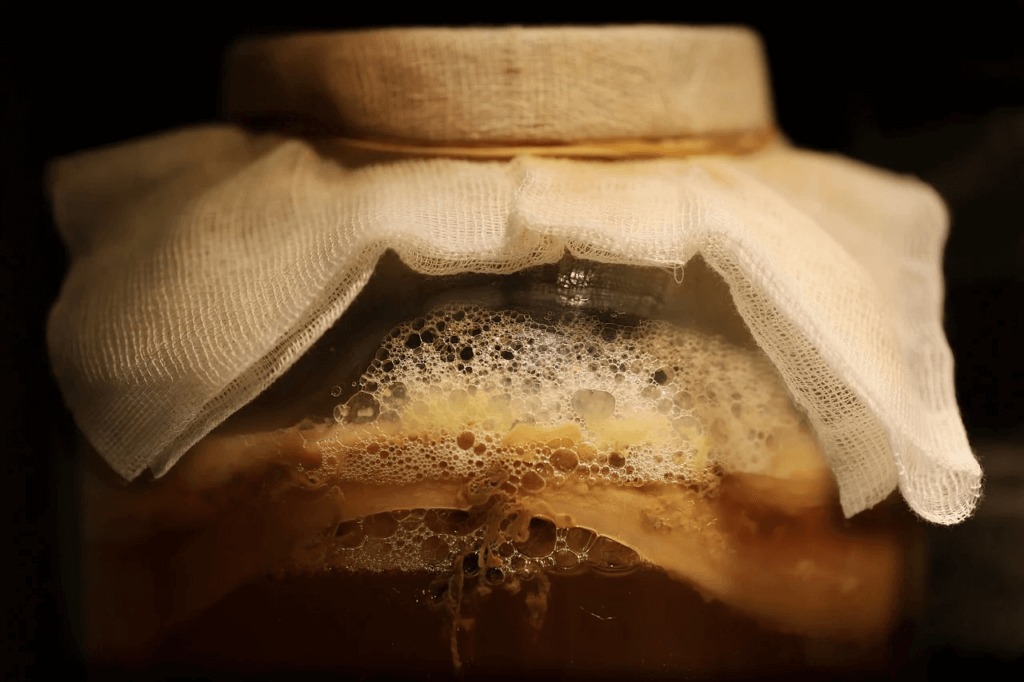 Bacterial-Fermentation-Products-1.jpg