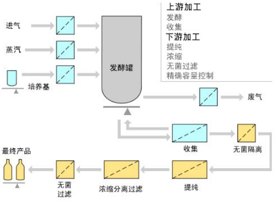 Schematic-diagram-of-the-fermentation-process.jpg