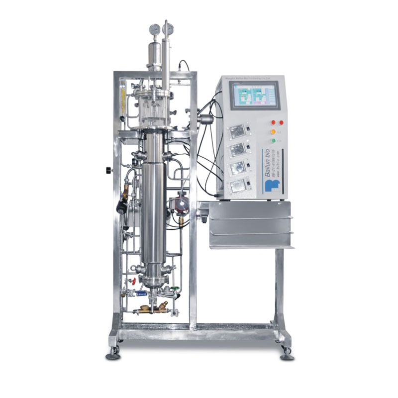 10L-On-site-sterilization-airlift-glass-fermenter-system-BLBIO-10GQA2.jpg