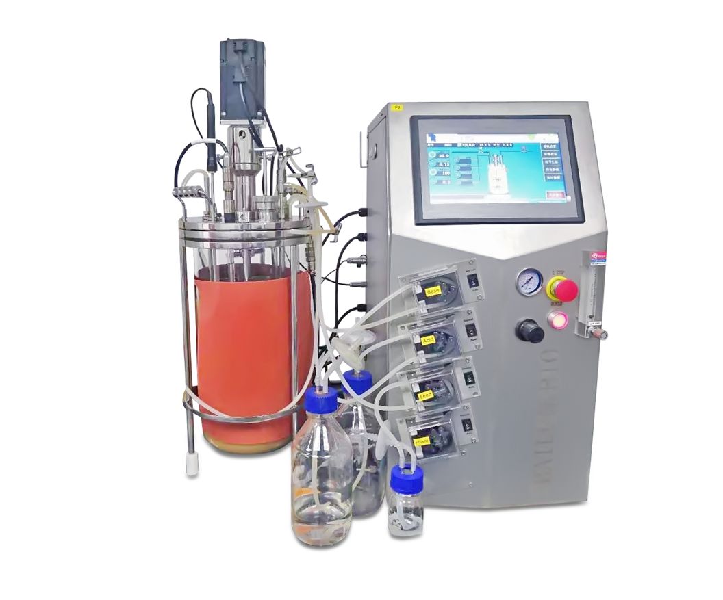 2L Single Wall Glass Bioreactor with Off-Site Sterilization for Lab Use