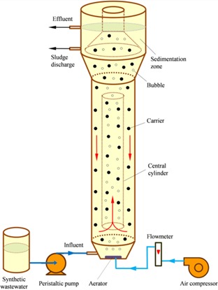 How-a-fluidized-bed-bioreactor-works.jpg