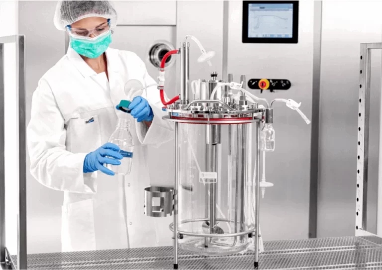 glass-bioreactor-768x543.jpg