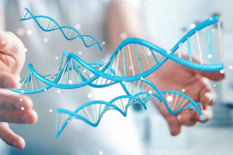 Cell & Gene Therapy Research.jpg